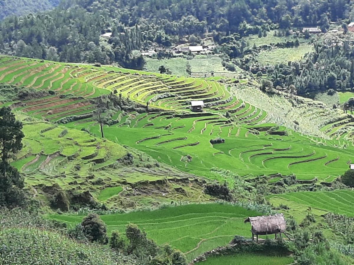Dong Suoi H'Mong Homestay & Bungalow - Trek & Vegetarian Food Mu Cang Chai Экстерьер фото