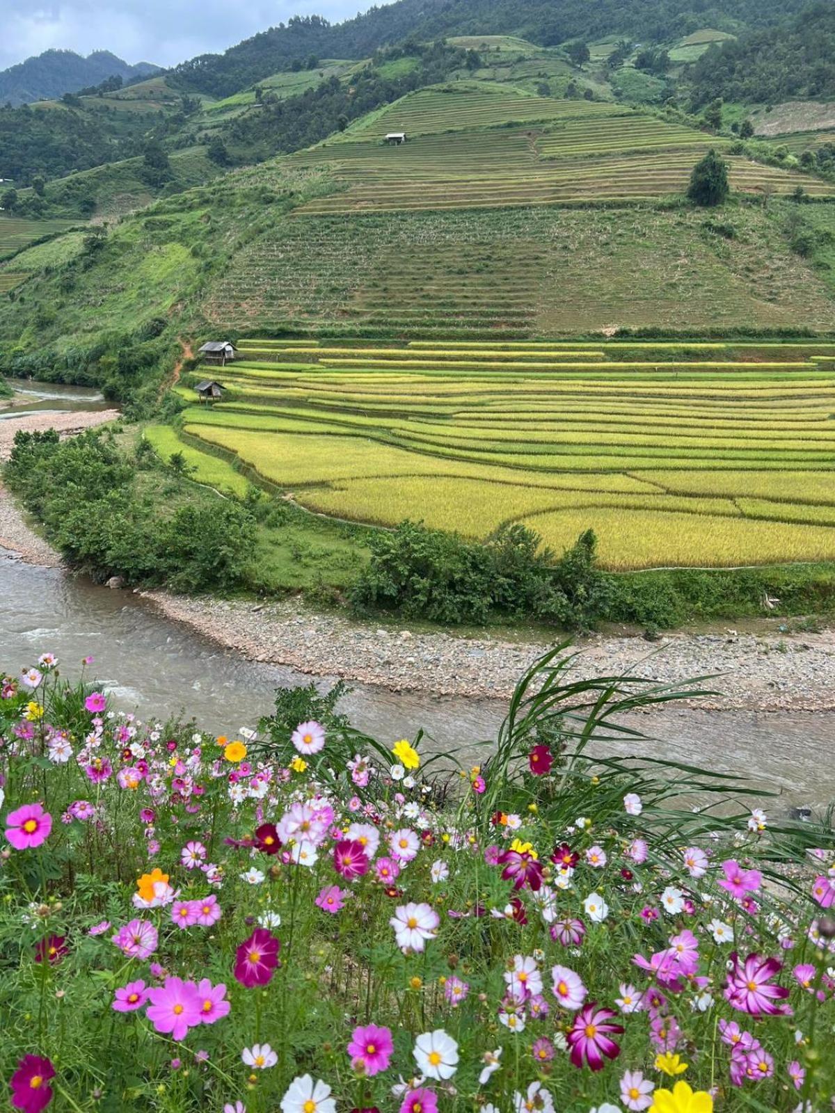 Dong Suoi H'Mong Homestay & Bungalow - Trek & Vegetarian Food Mu Cang Chai Экстерьер фото